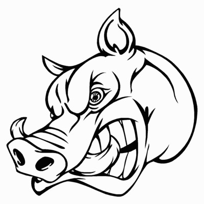 Boar Hog
